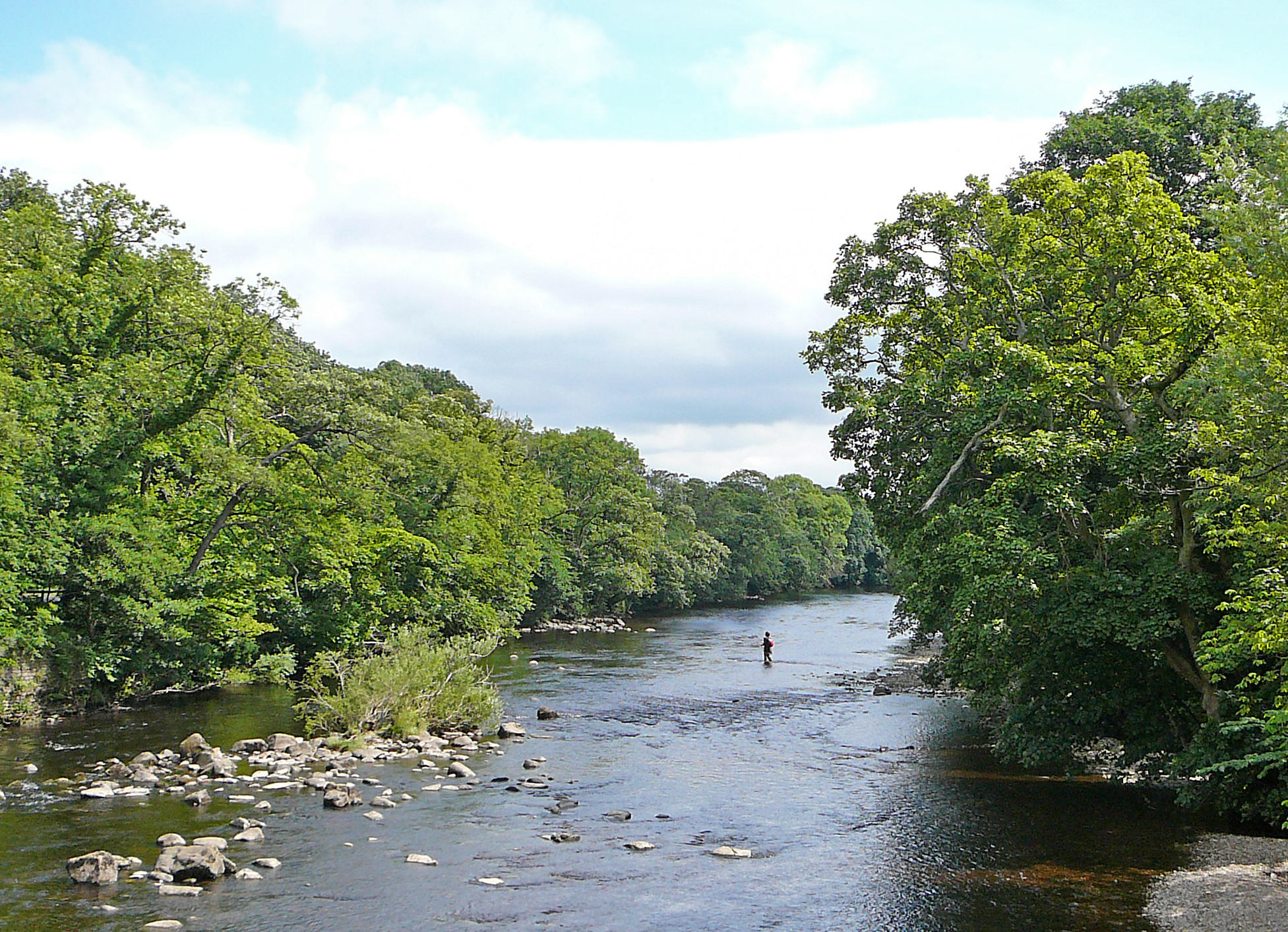 a person is floating down a river near many trees