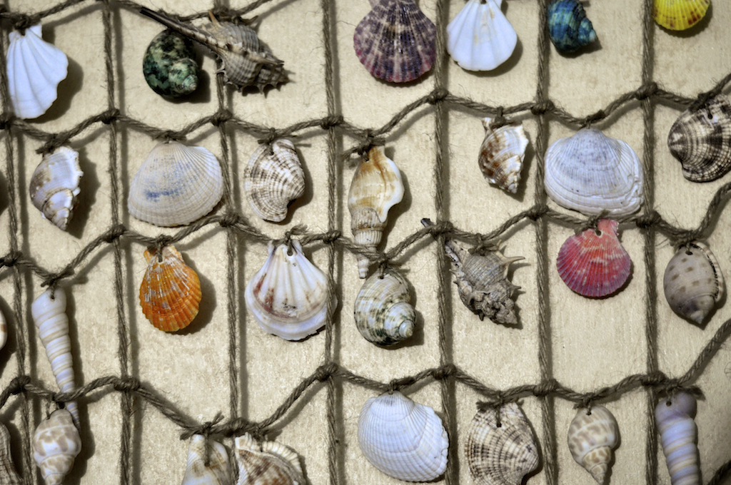 shells and sea urinals on a wall hung up