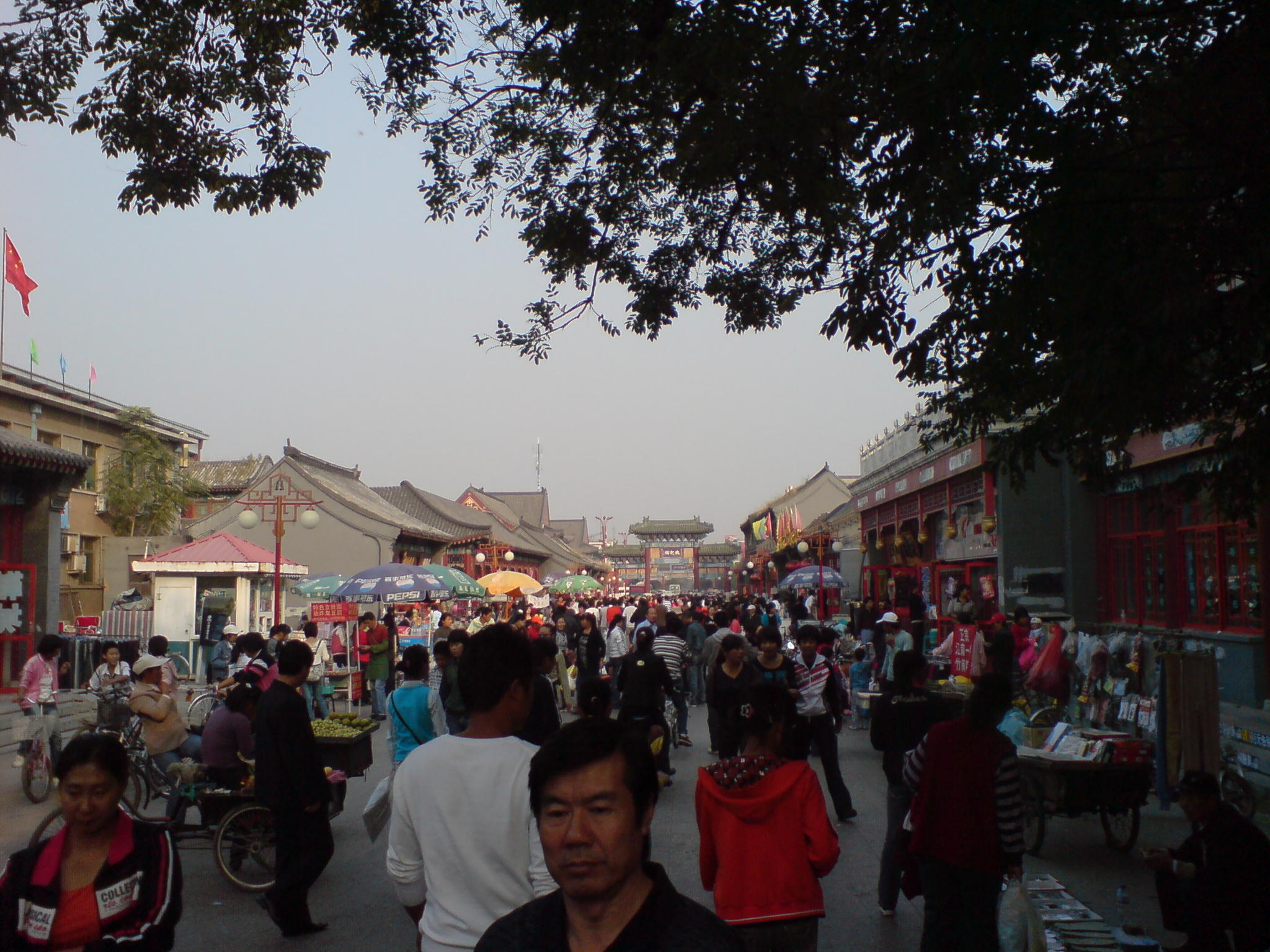large group of people with various shopping on the sides of the street