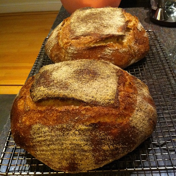 two loaves of bread sitting on top of a rack