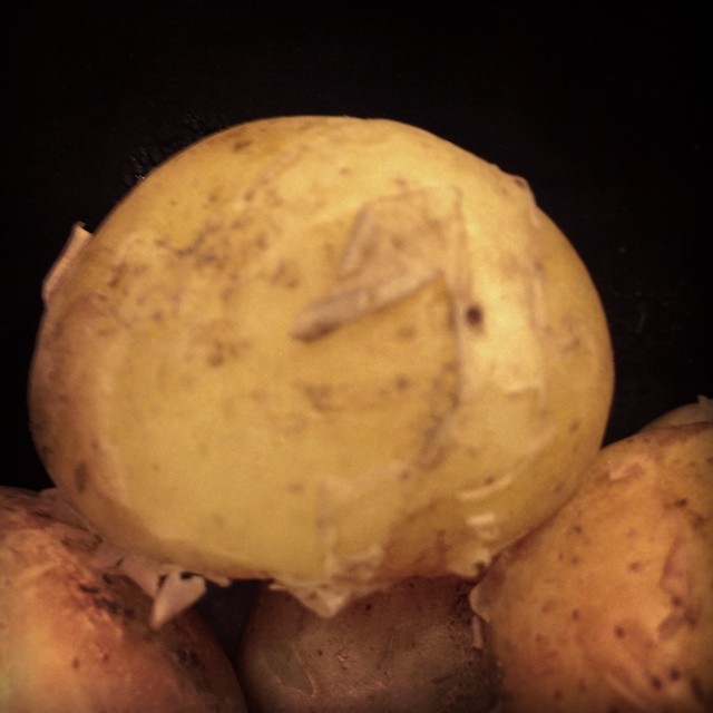 an image of some potatoes that are very dirty