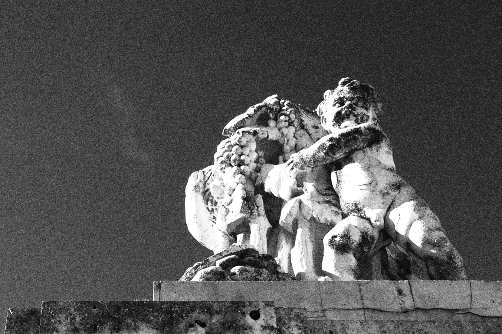 an abstract black and white po of the top of a statue