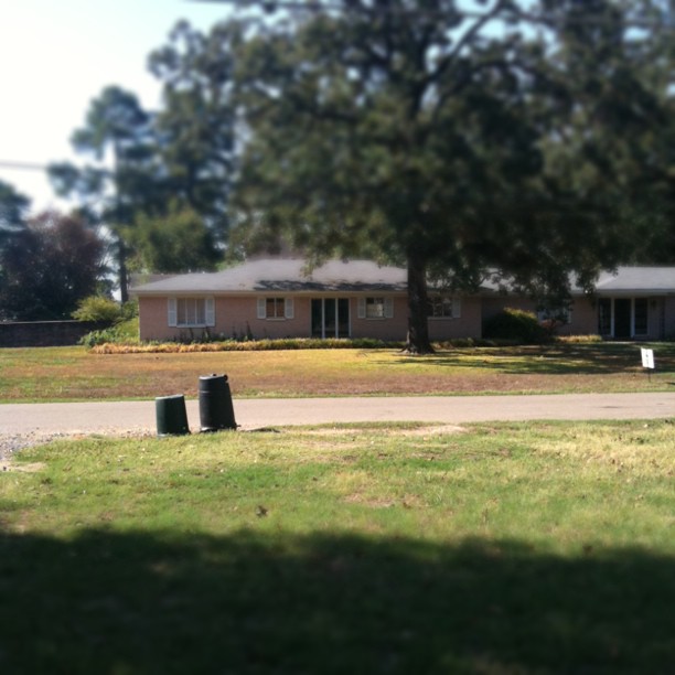a view of a home across the street from trees