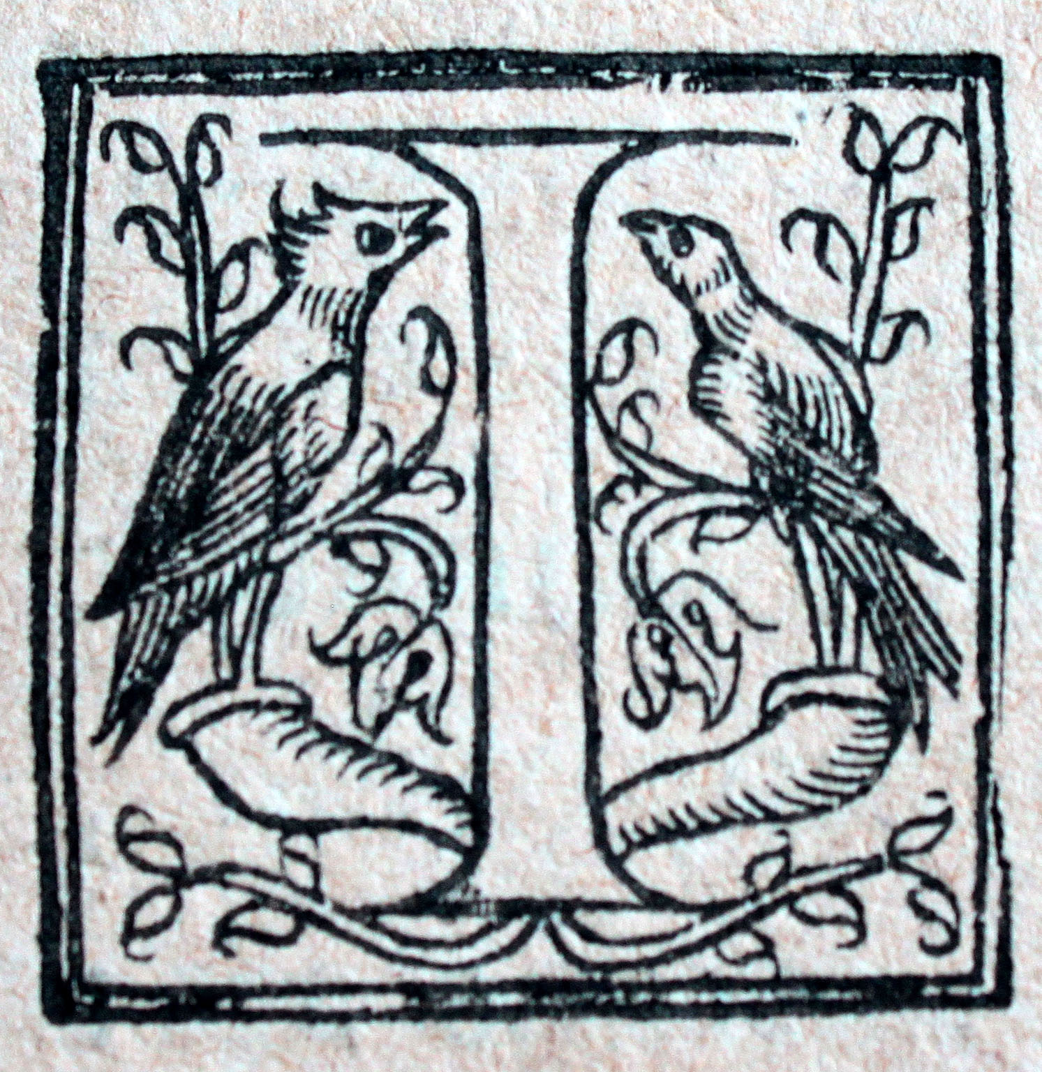 a type of drawing featuring two birds and an open window