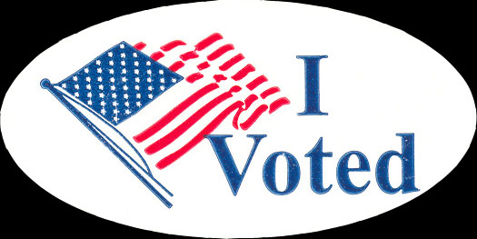 an oval political sign with the i vote on it