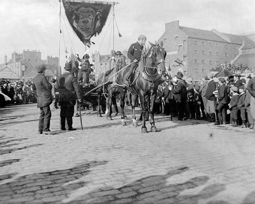 a large group of people stand next to some horses