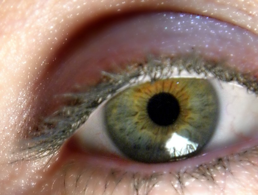 the eyeball of a person, with light blue green iris and thin yellow center