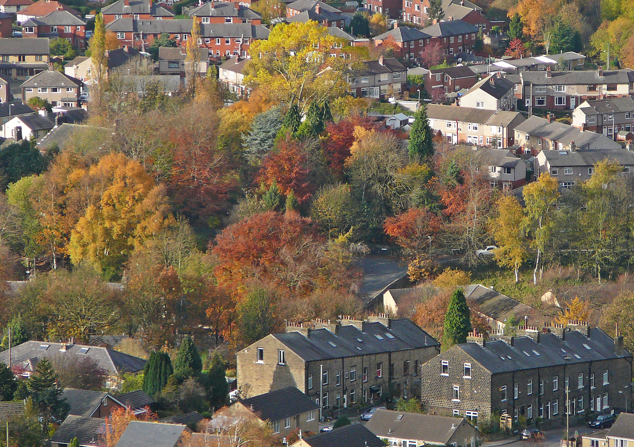 a town surrounded by many rows of houses