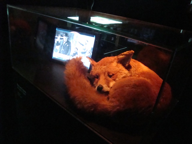 an orange teddy bear laying in front of a tv