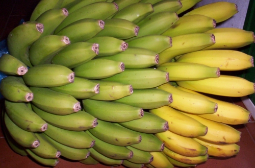 a large bunch of bananas is being stored on top of each other