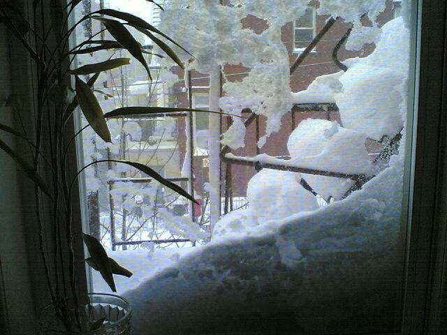 a window covered in snow in the winter