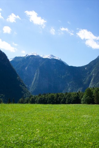 a grassy meadow with mountains in the background