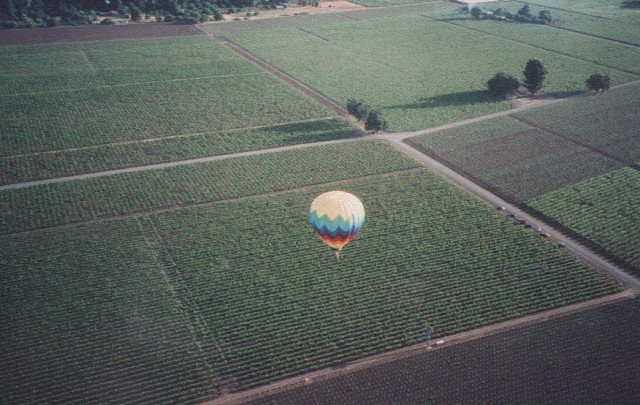 an aerial view of an over - the - top  air balloon in the sky