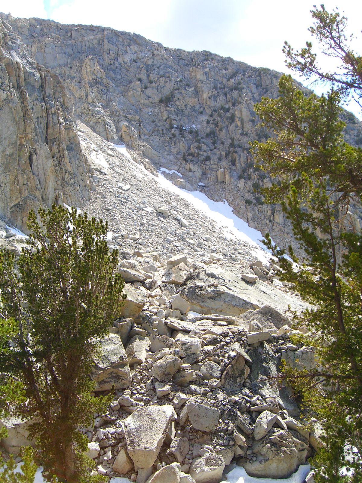 rocky terrain with green evergreens in front of it