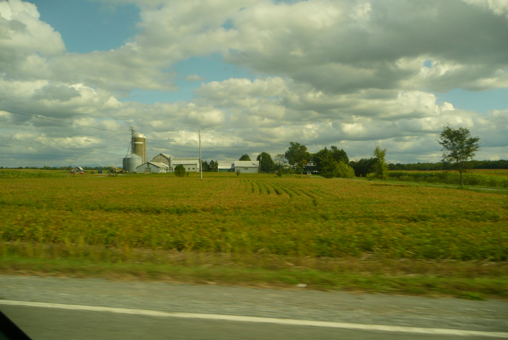 farm land near a large white barn under a blue sky with clouds