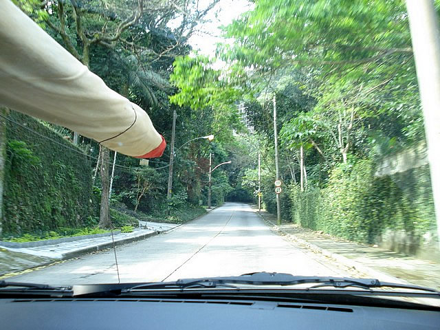 a person sitting inside the driver's seat looking at a tree lined street