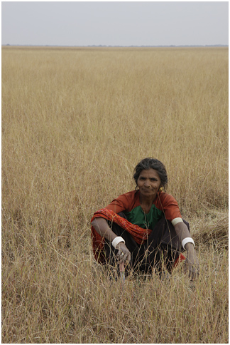 woman kneeling in field of wheat looking at camera