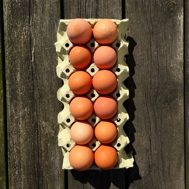 a carton full of brown eggs sitting on a table