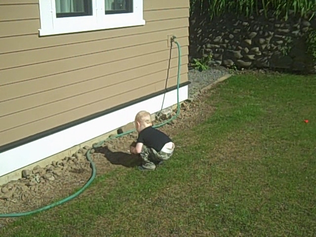 a toddler with ball on his hand trying to walk in the back yard