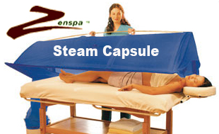 a picture of steam capsule with woman and man looking at soing on the table