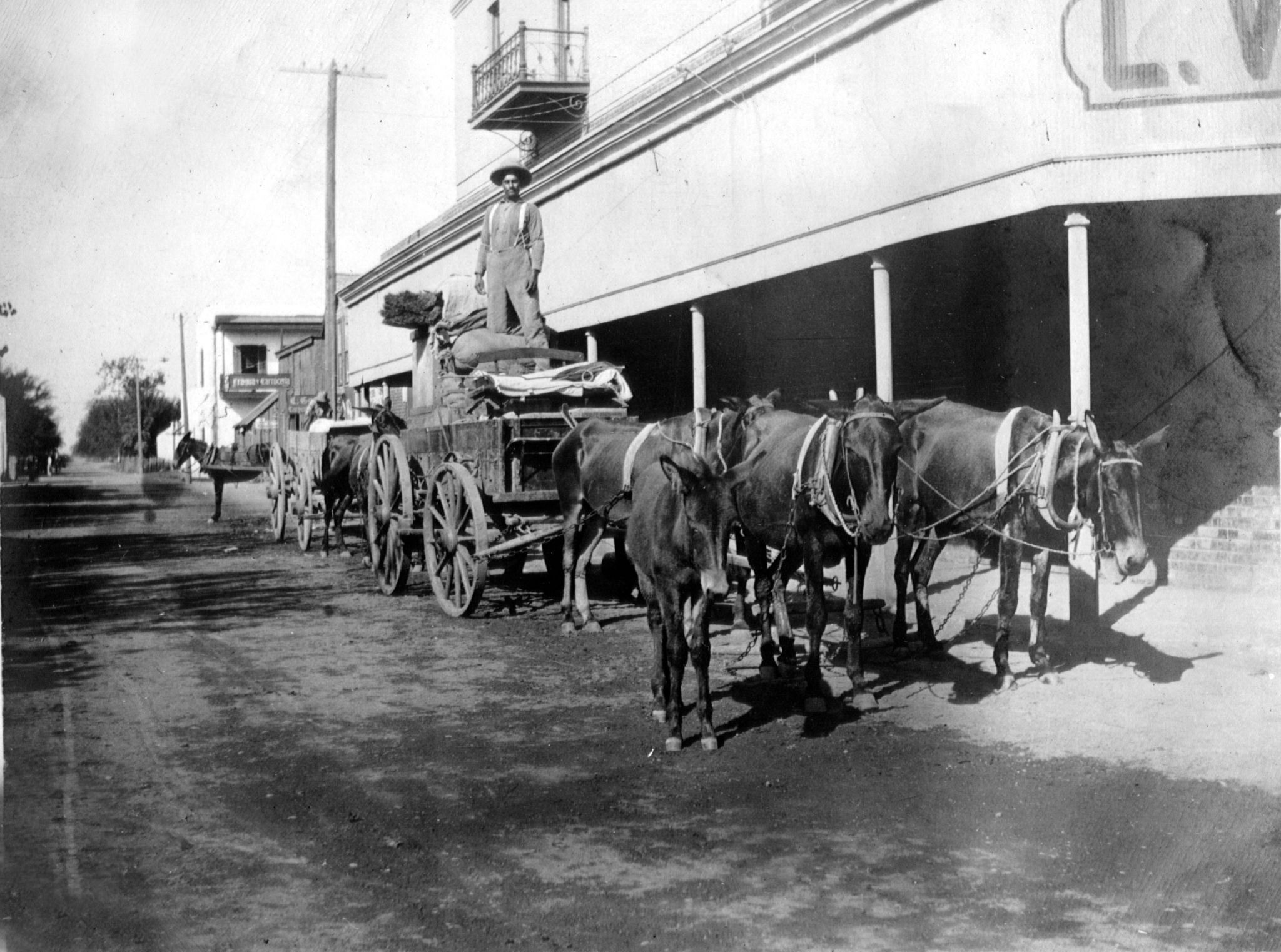 a man driving a cart with several horses