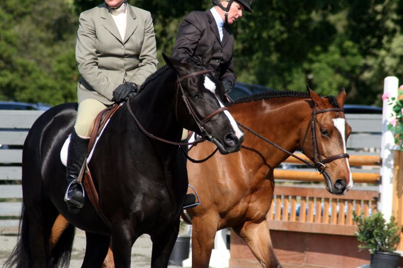 two women riding on the backs of brown and black horses