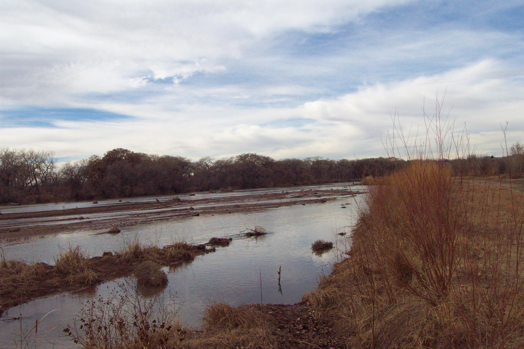 a muddy and dry river running through a marsh