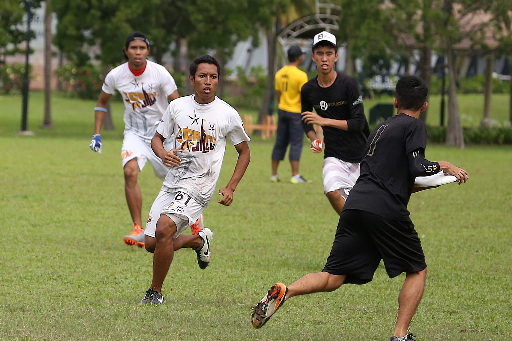 a bunch of people playing with a frisbee in a field