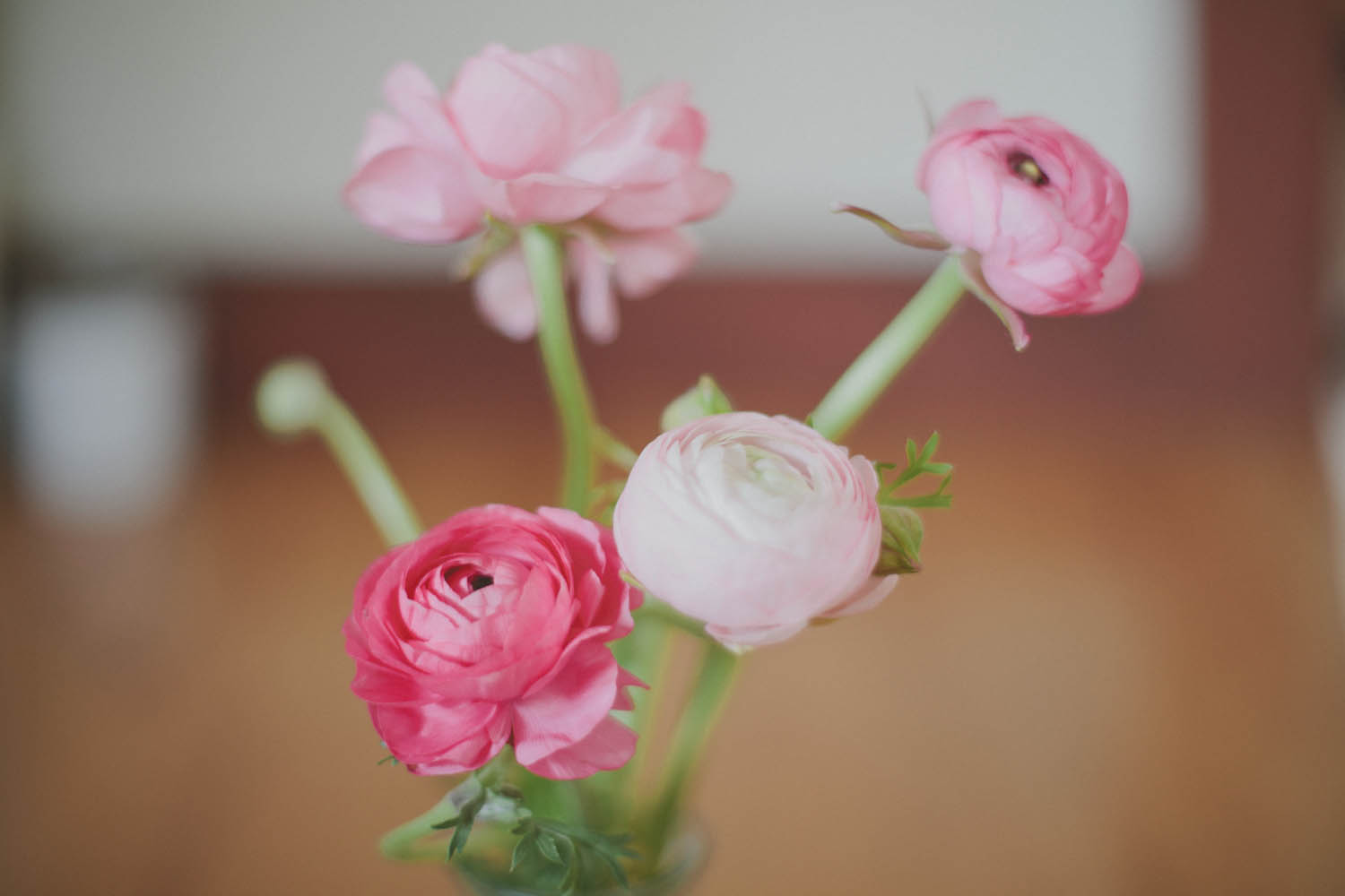two pretty pink roses are in a small vase