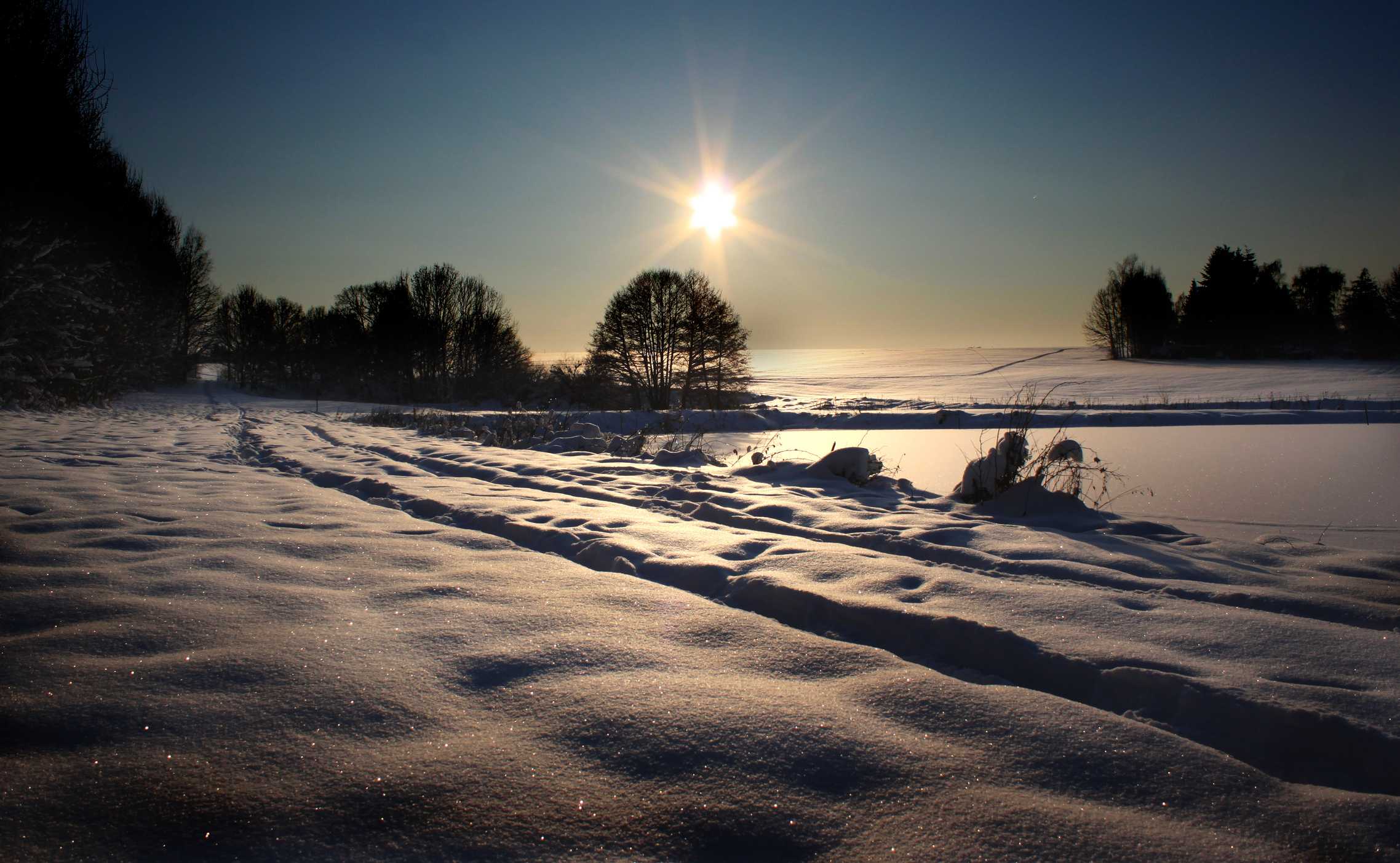 a sun shines over the snow with several trees on it