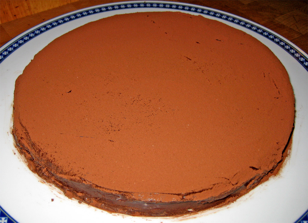 there is a very big chocolate cake on the plate