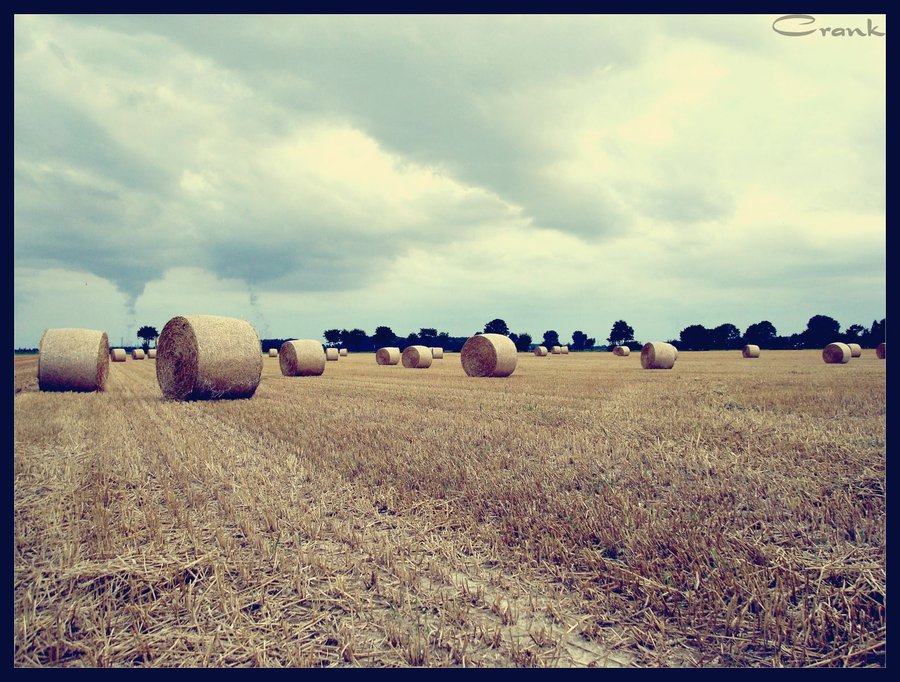 a large field full of hay bales next to an old barn