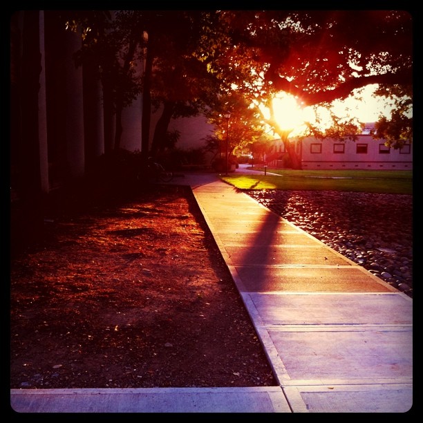 there is a very bright sun setting on the sidewalk