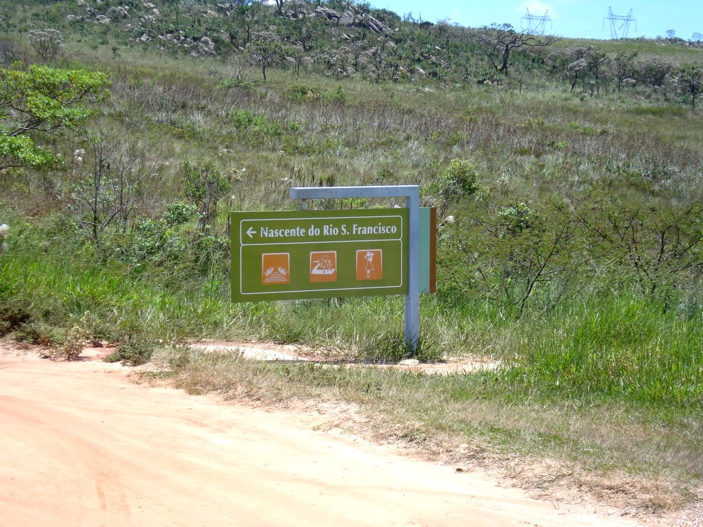 a green sign on dirt road next to grass