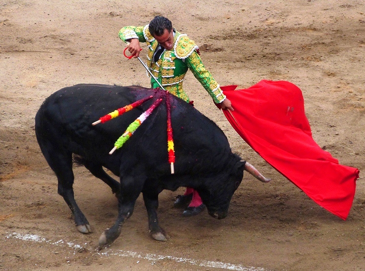 a man is standing on top of a bull