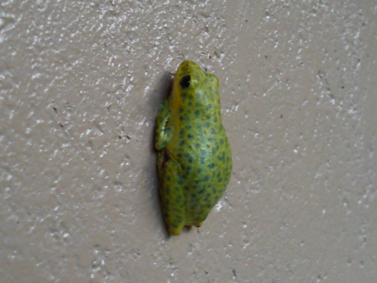 a small green leaf with green dots on it