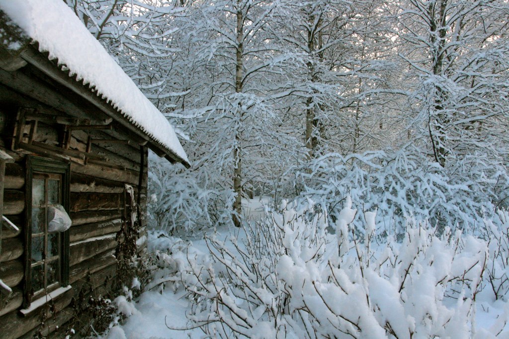 snow covered woods and trees surrounding a cabin