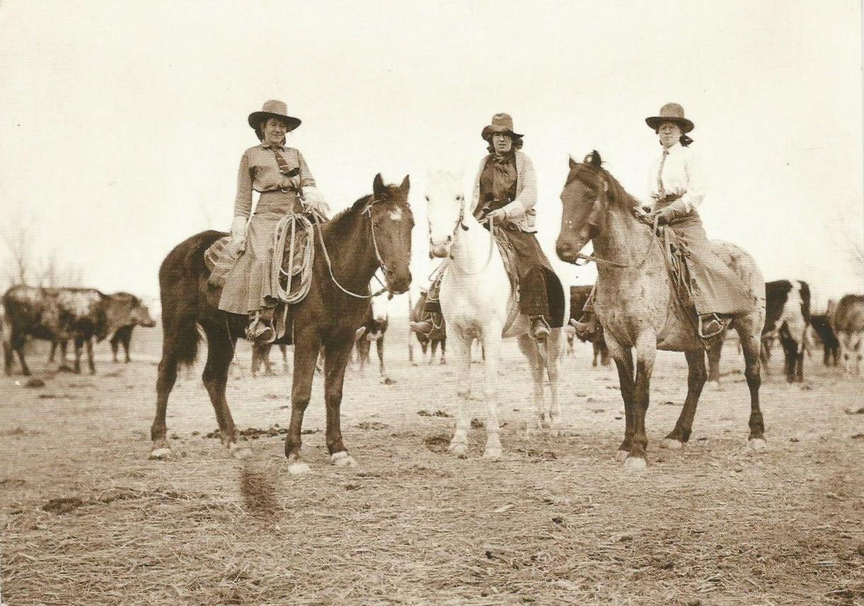 a couple of men riding horses next to cows