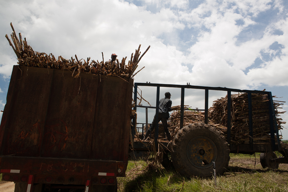 a tractor and a person in the back of it