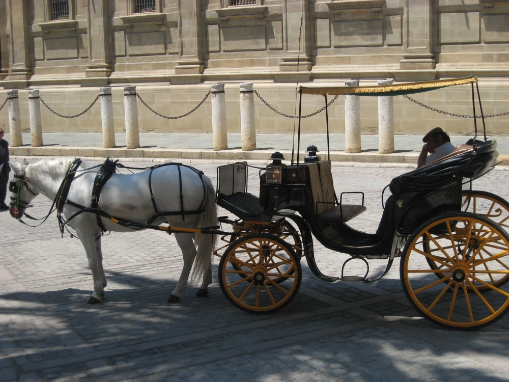 a horse pulling a carriage with people in it