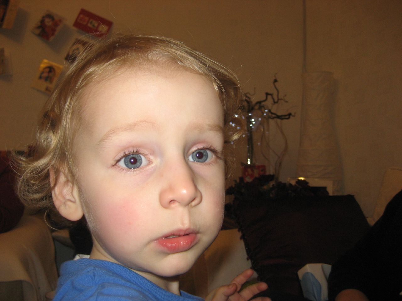 little boy staring intently in a living room