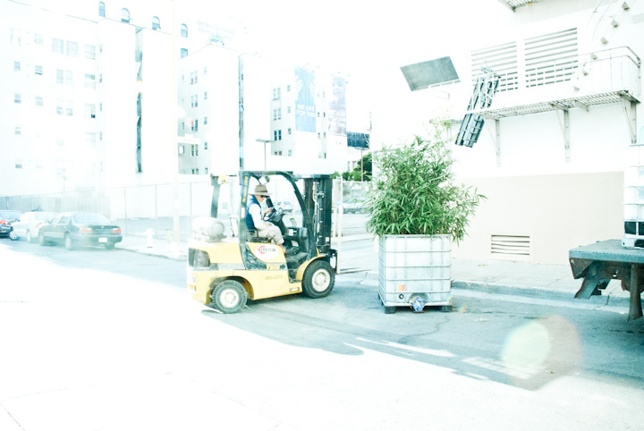 a forklift driving down a street with a plant in the back