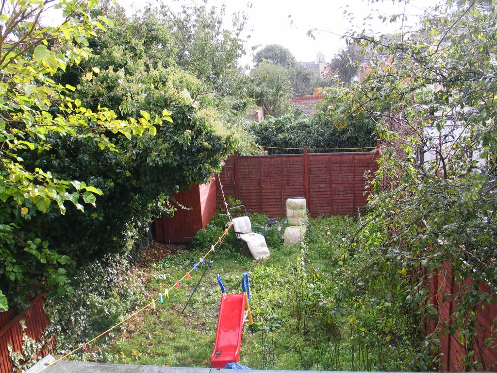 a yard with a back yard and trees in the background