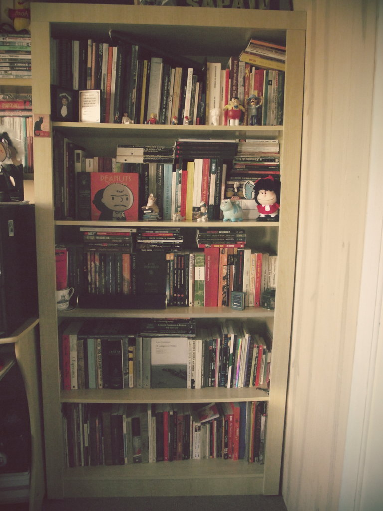 a small room with shelves full of books