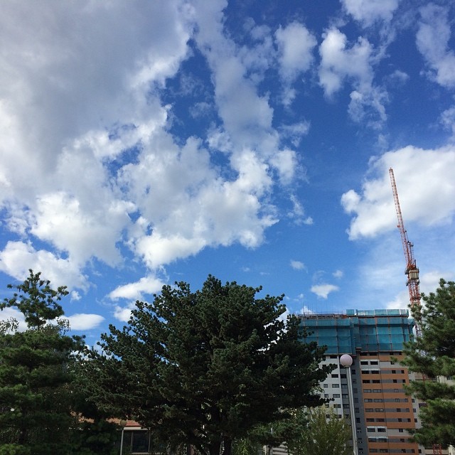 clouds hover over a construction site and some trees