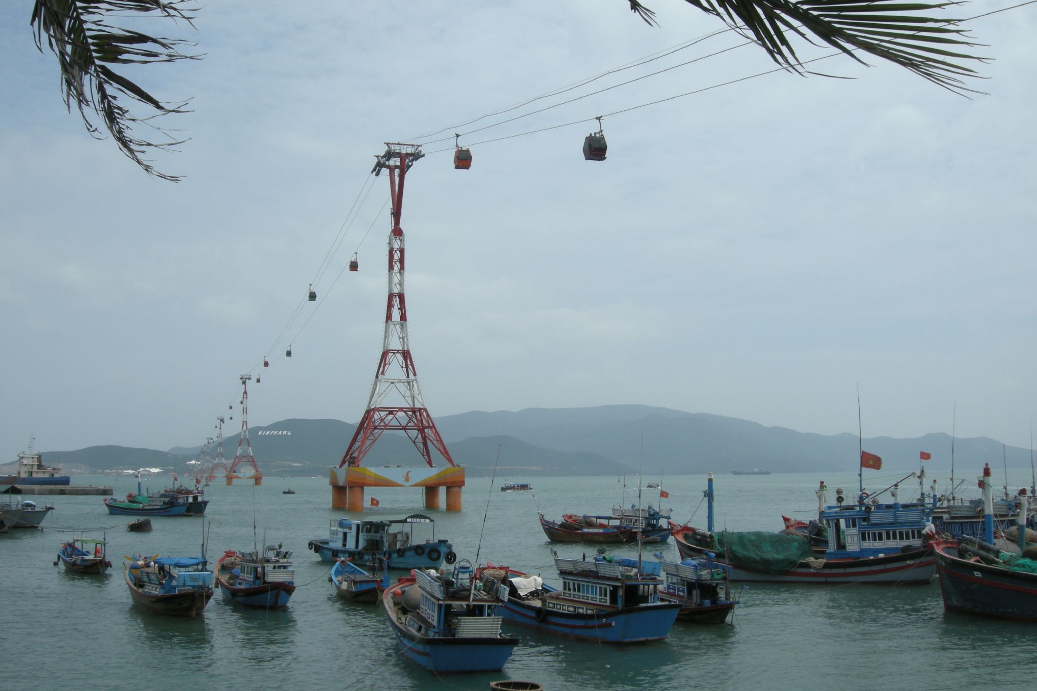 several boats on the water and some trees