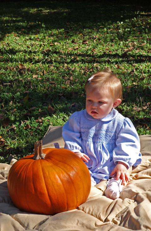 a baby sits on a blanket while next to a pumpkin