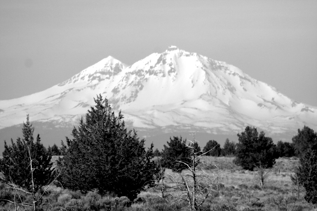 a snowy mountain peaks above evergreen trees and shrubbery