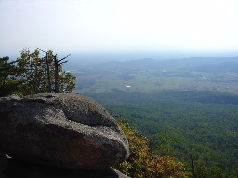 the rock and tree are at the top of the mountain