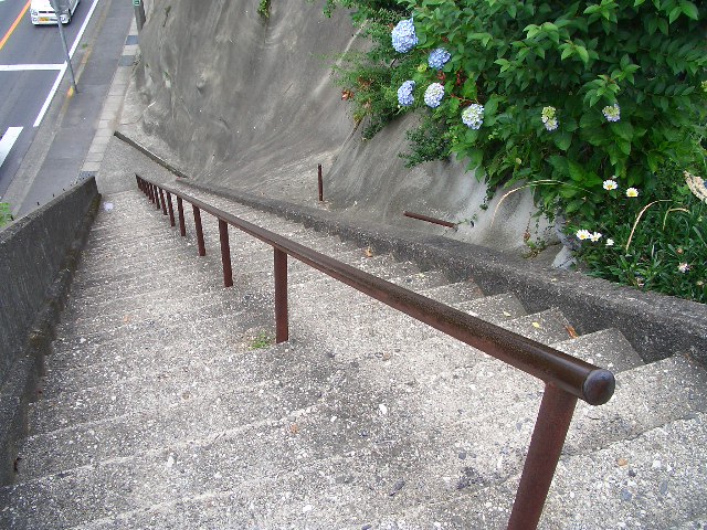 an uphill stairway on top of a hill and flowerbed on the side